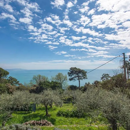 3 Bedroom Beautiful In *