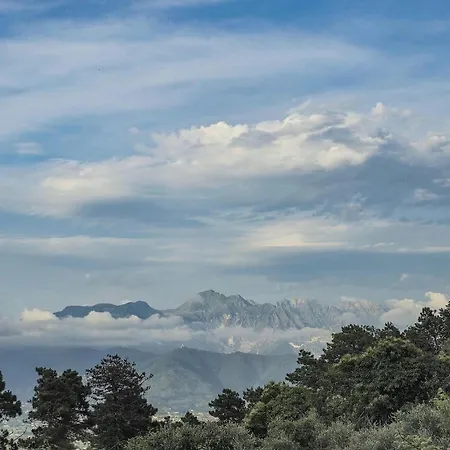 3 Bedroom Stunning In Tatil Evi